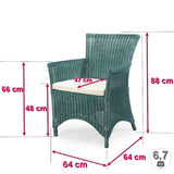 Rotin Design Fauteuil ROSAS Vert en Osier fitrit