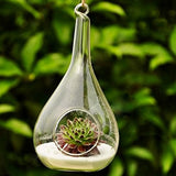 Vase Suspendu en Verre Transparent Conique pour Plantes Fleurs Décoration de Jardin Maison