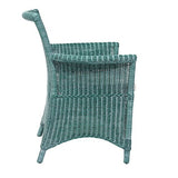 Rotin Design Fauteuil ROSAS Vert en Osier fitrit