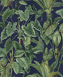 Erismann 6303-20,3 cm Paradiso Collection"Papier peint intissé, Multicolore, 10.05 x 0.53 m