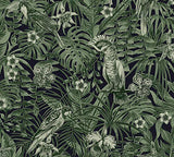 A.S. Création 372101 37210 Greenery Papier peint intissé Motif palmiers Vert/noir 10,05 m x 0,53 m, 372101