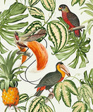 Erismann 6302-17,8 cm Paradiso Collection"Papier peint intissé, Multicolore, 10.05 x 0.53 m