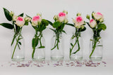 casa-vetro Lot de 12 x Vase Petites Bouteilles en Verre Transparent 10,5 cm