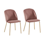 MCC Lot de 2 Chaises de Salle à Manger Velours Design Moderne avec Pieds en métal Or (Rose)